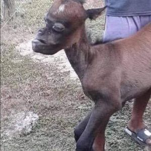 Meet your Posher, Max